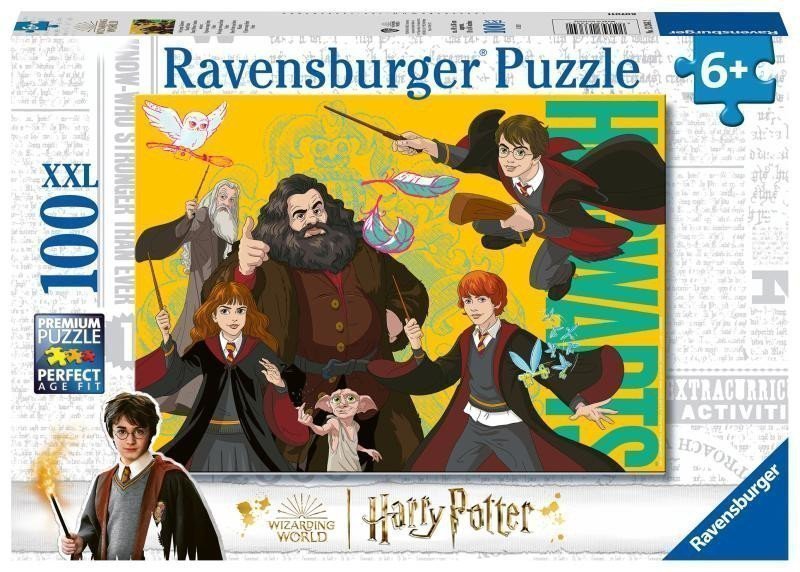 Puzzle Harry Potter Mladý čaroděj 100 dílků