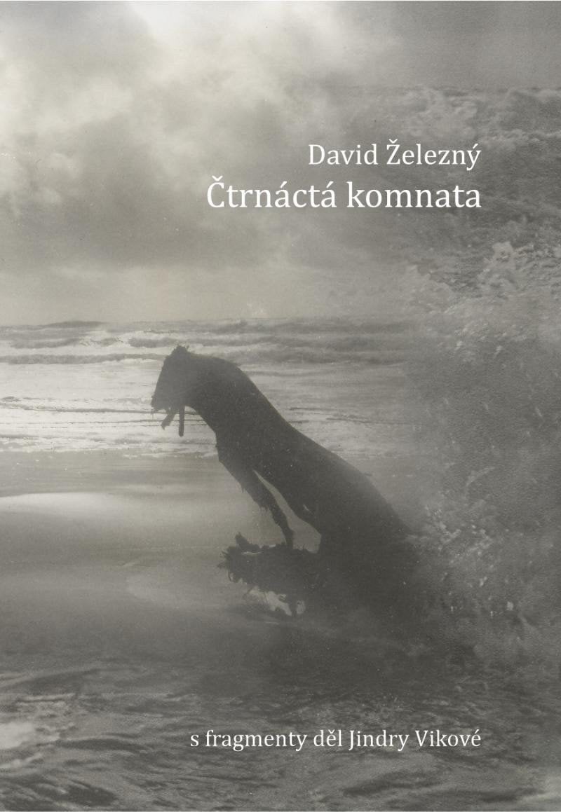 Čtrnáctá komnata – Železný David