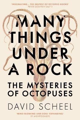 Many Things Under a Rock The Mysteries of Octopuses – Scheel David