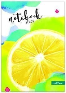 Concorde Záznamní kniha A5 čistá 100 listů