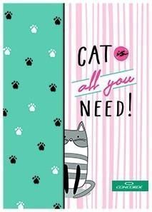 Concorde Záznamní kniha A5 linka 8 mm 100 listů