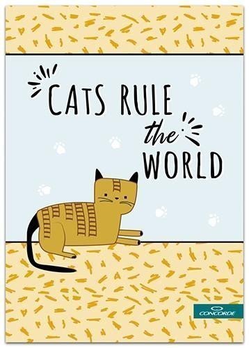 Concorde Záznamní kniha A6 čistá 100 listů