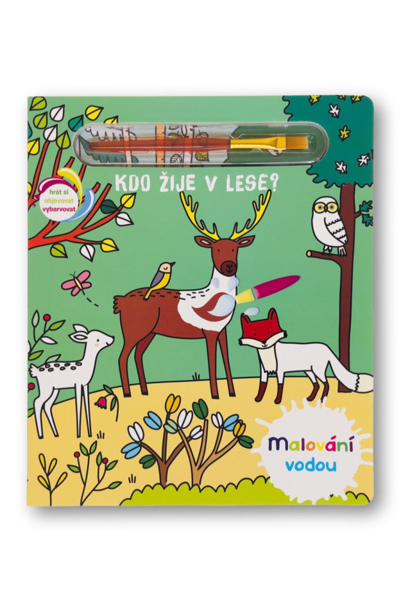 Kdo žije v lese - Malování vodou