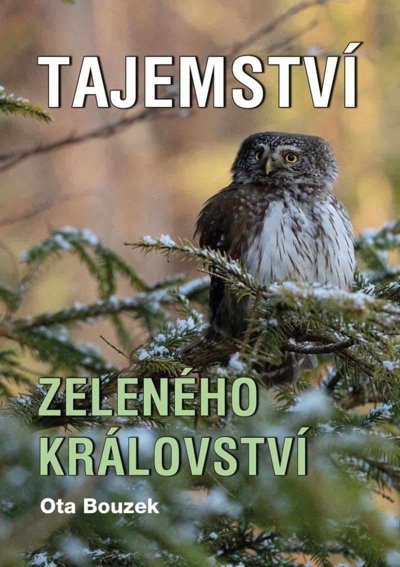 Tajemství zeleného království – Bouzek Ota