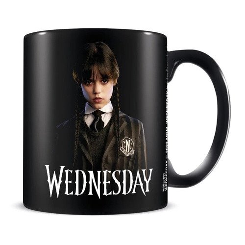 Wednesday Hrnek 315 ml - Friendship