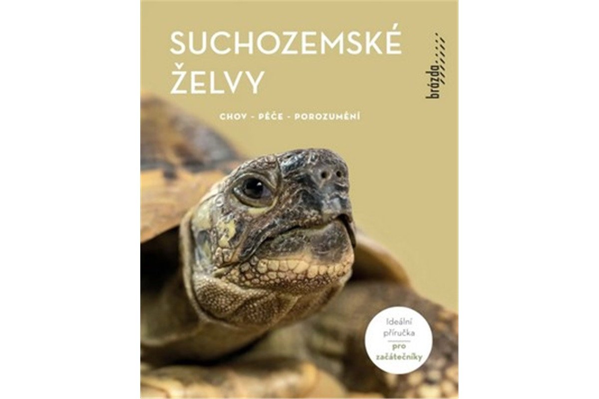 Suchozemské želvy - Chov péče porozumění – Rogner Manfred