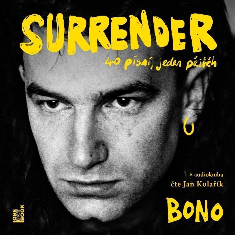 Surrender 40 písní jeden příběh - CDmp3