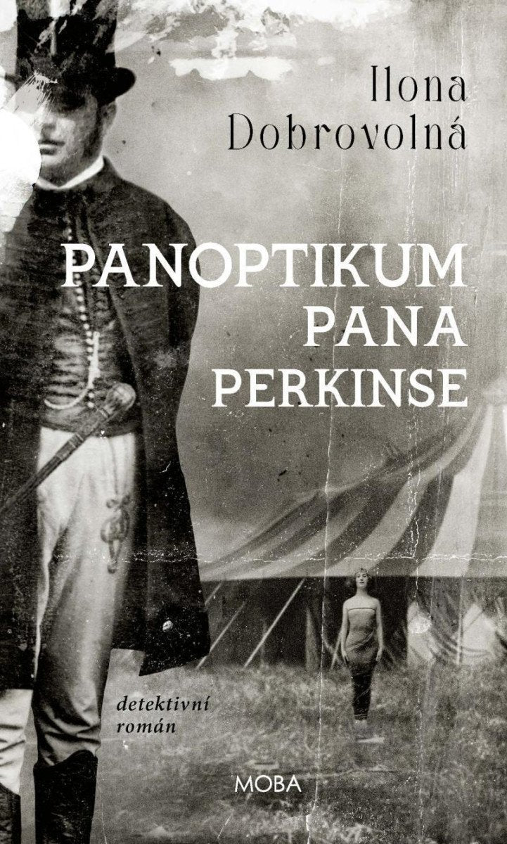 Panoptikum pana Perkinse – Dobrovolná Ilona