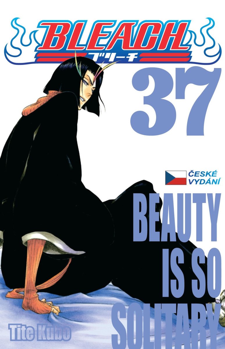 Bleach 37 Beauty Is So Solitary – Kubo Tite