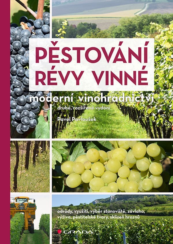 Pěstování révy vinné - Moderní vinohradnictví – Pavloušek Pavel