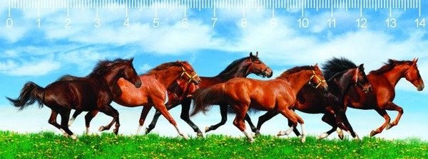 Pravítko 3D - Horses in green field deep