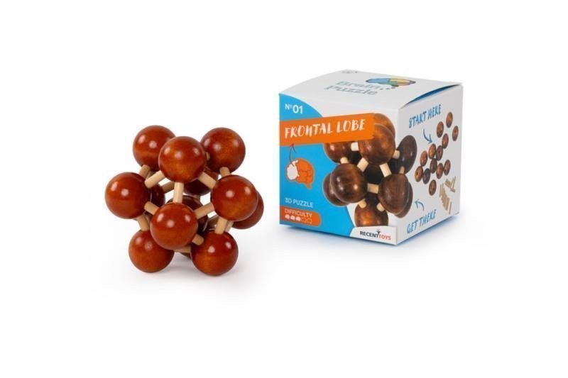 Recenttoys Hlavolam Brain Puzzle 1 - Čelní lalok