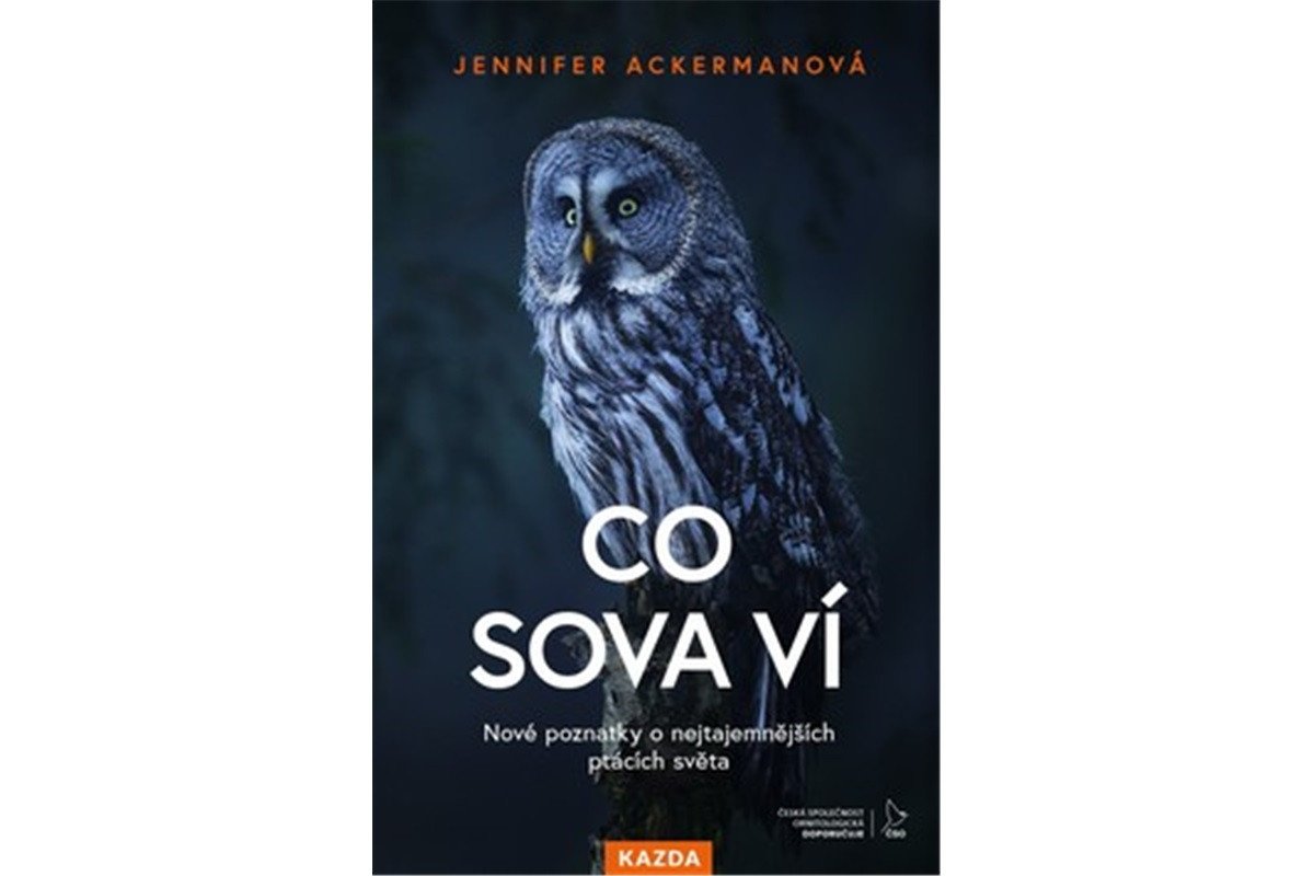 Co sova ví - Nové poznatky o nejtajemnějších ptácích světa – Ackerman Jennifer