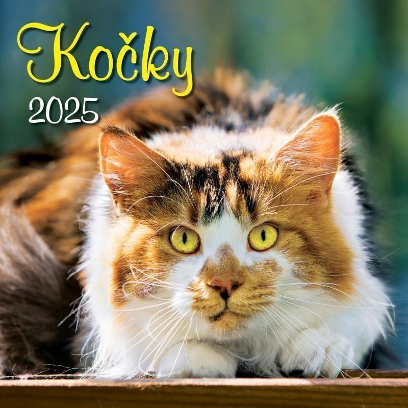 Kalendář 2025 Kočky nástěnný 33 x 33 cm