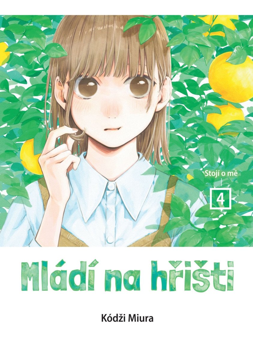 Mládí na hřišti 4 - Stojí o mě – Miura Kódži