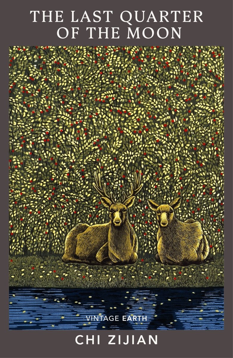 The Last Quarter of the Moon A novel from the Vintage Earth collection – Zijian Chi