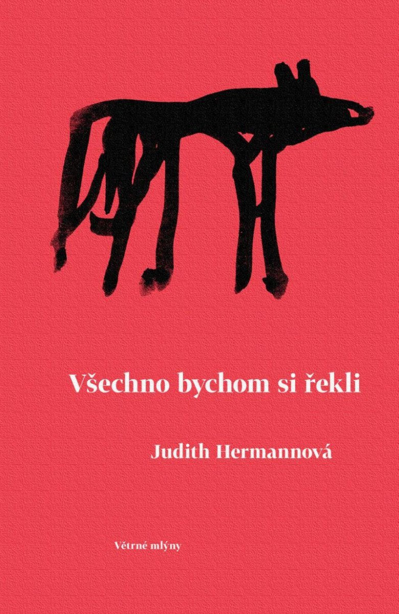 Všechno bychom si řekli – Hermannová Judith
