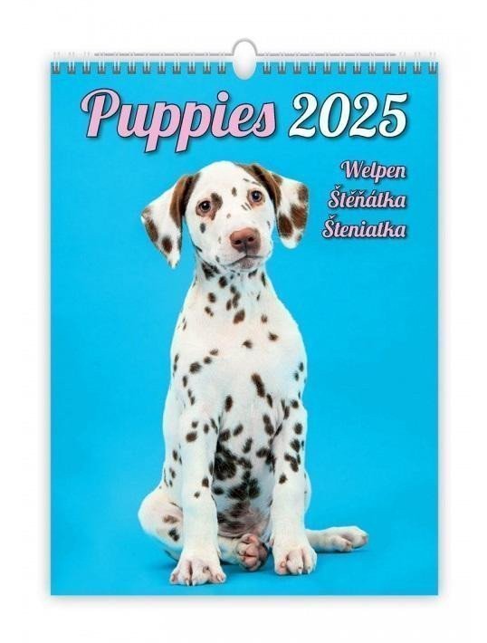 Kalendář nástěnný 2025 - Puppies Welpen Štěňátka Šteniatka