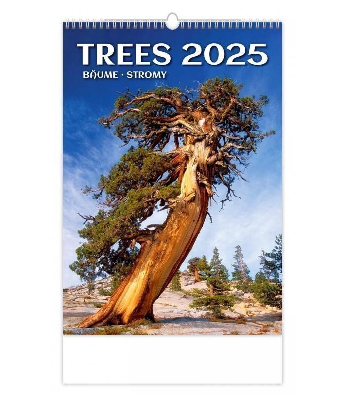 Kalendář nástěnný 2025 - Trees Bäume Stromy