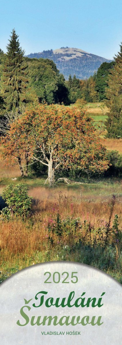 Kalendář 2025 - Toulání Šumavou úzký nástěnný – Hošek Vladislav