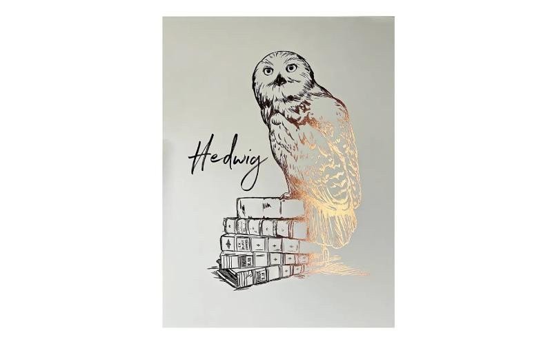 Harry Potter Plakát - Hedvika