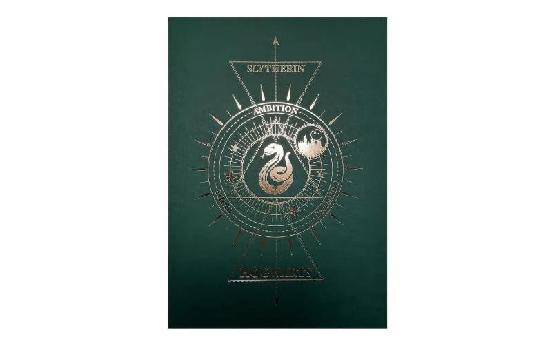 Harry Potter Plakát - Zmijozel