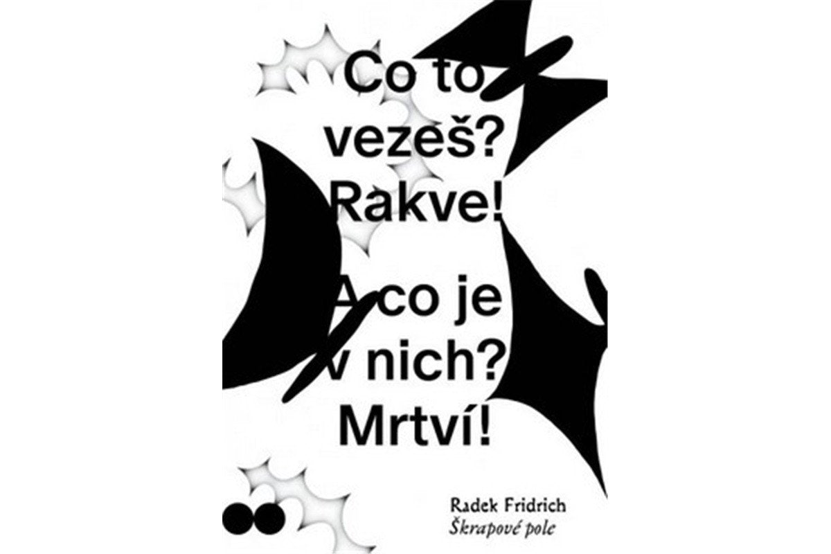 Škrapové pole – Fridrich Radek