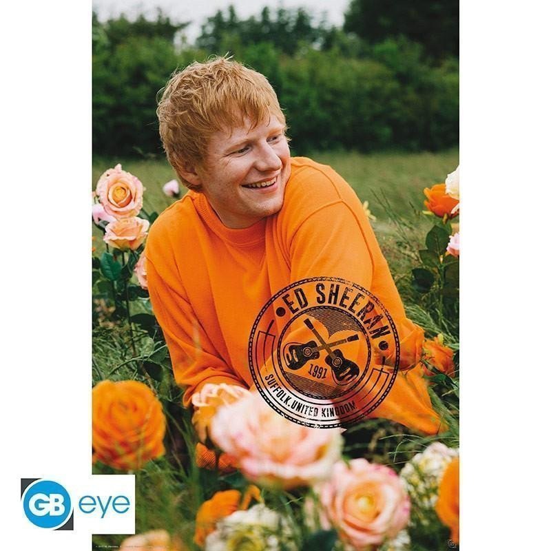 Ed Sheeran Plakát Maxi Rose Field 915 x 61 cm