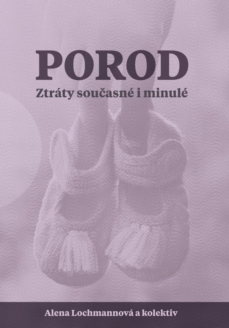 Porod - Ztráty současné i minulé – Lochmannová Alena