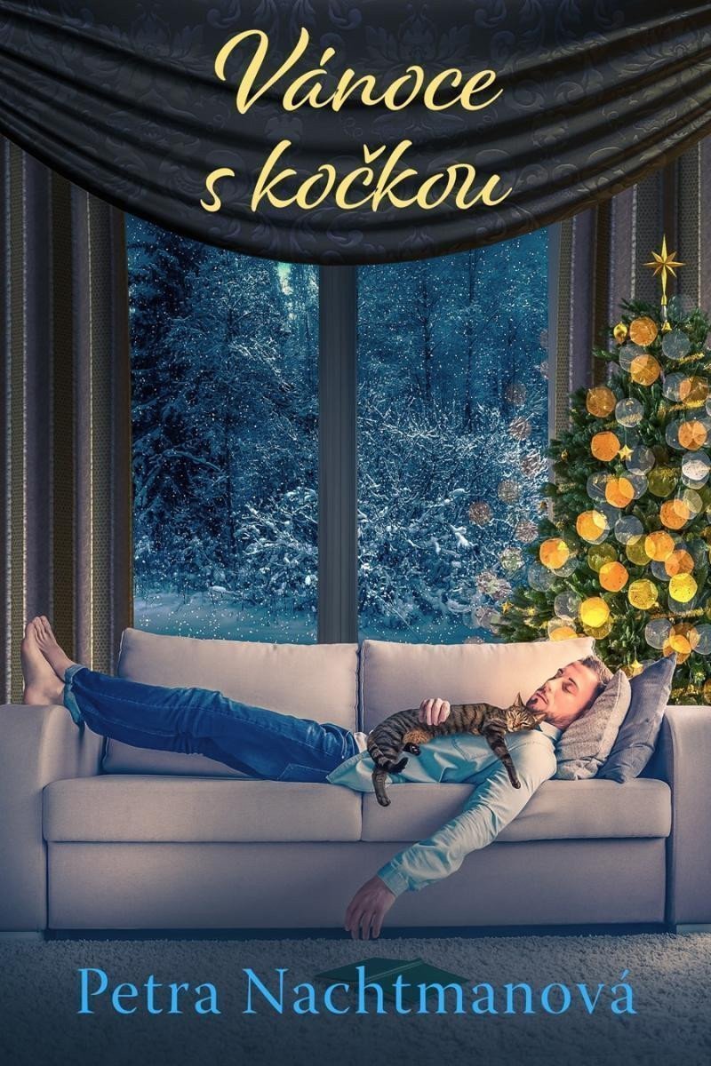 Vánoce s kočkou – Nachtmanová Petra