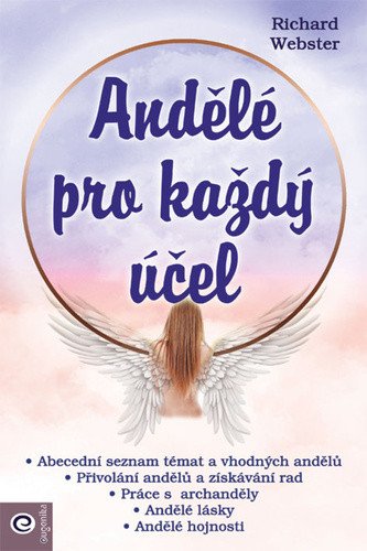 Andělé pro každý účel – Webster Richard