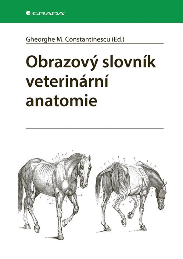 Obrazový slovník veterinární anatomie – Constantinescu M Gheorghe