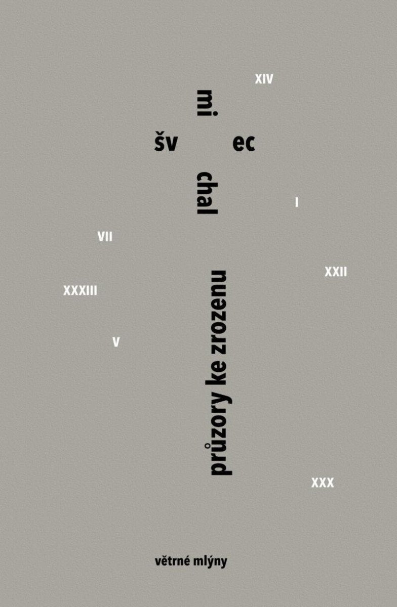Průzory ke zrozenu – Švec Michal