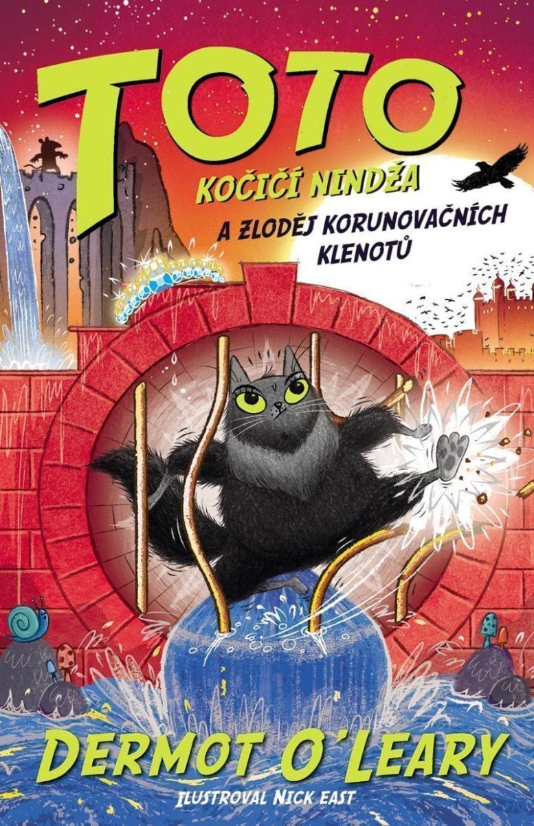 Toto Kočičí nindža a zloděj klenotů – OLeary Dermot
