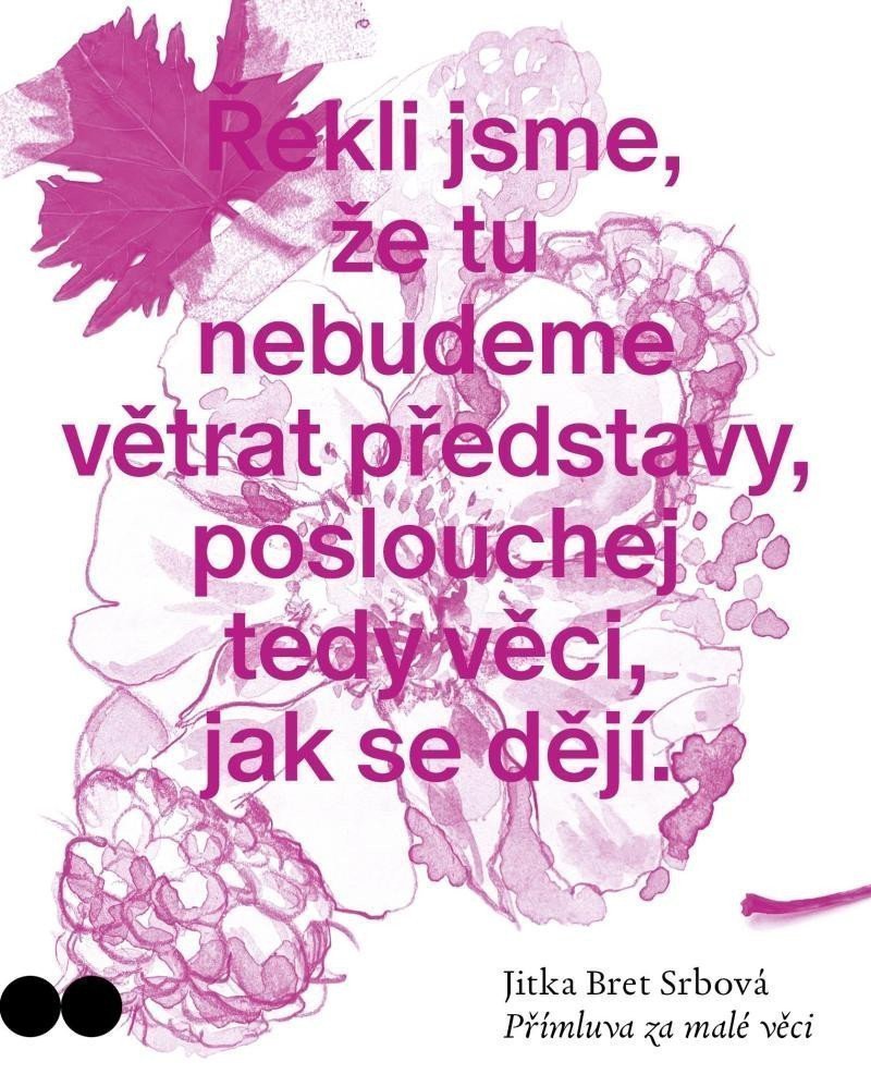 Přímluva za malé věci – Srbová Jitka Bret