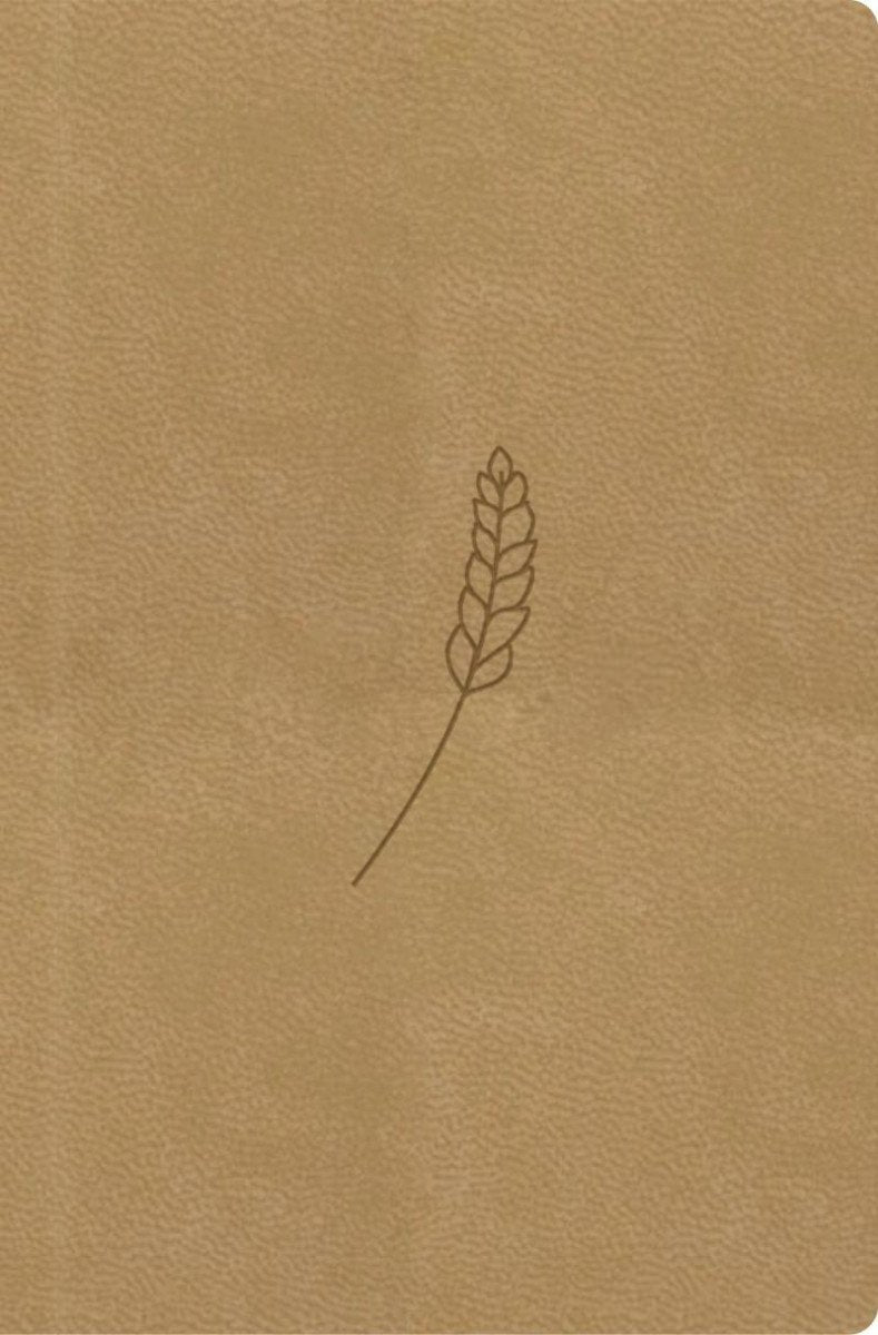 Bible překlad 21 století medová - kapesní