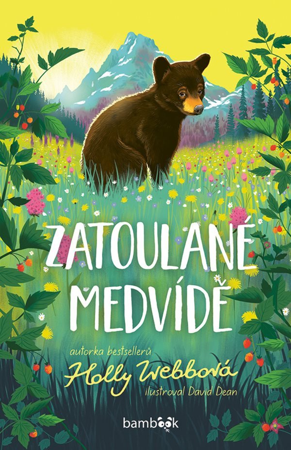 Zatoulané medvídě – Webbová Holly