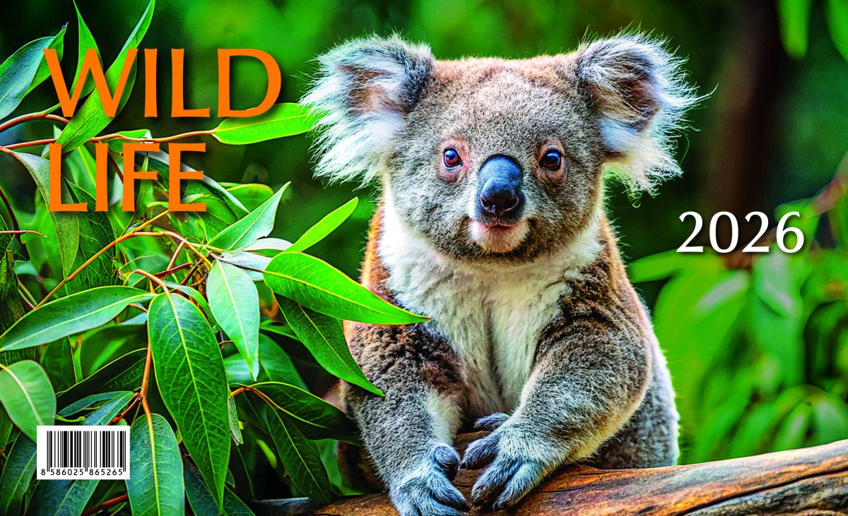 Kalendář 2026 Mláďata - Wild life stolní 23 x 14 cm