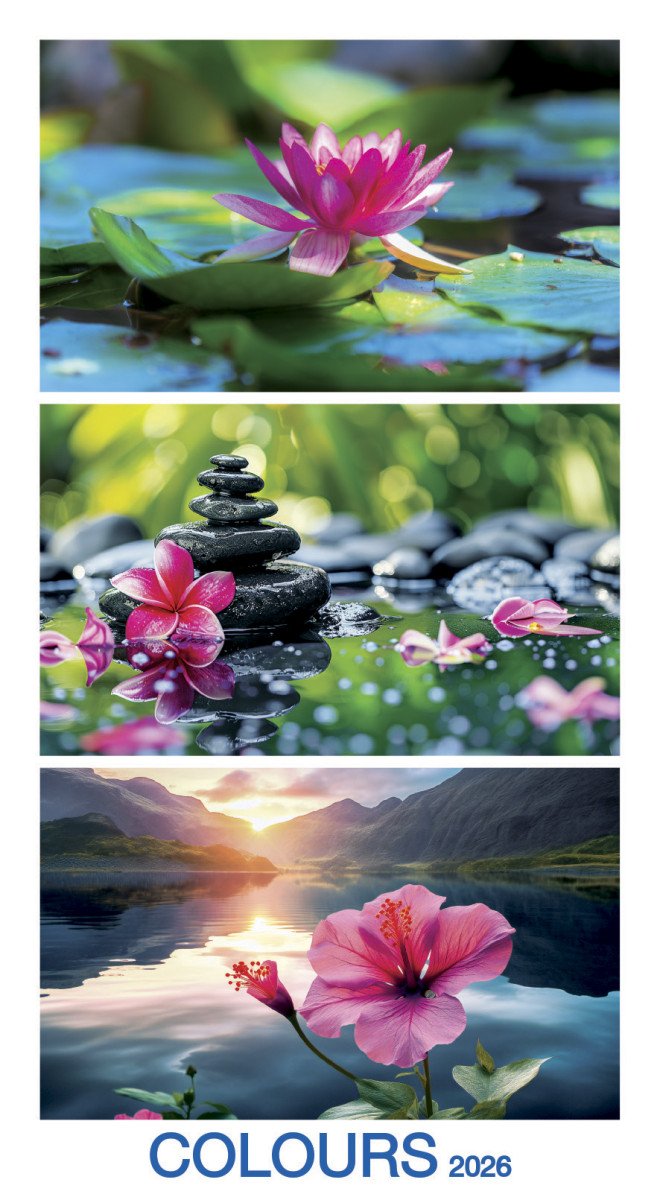 Kalendář 2026 Colours nástěnný 33 x 60 cm