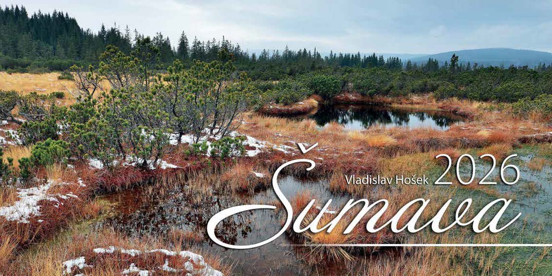 Kalendář 2026 - Šumava stolní čtrnáctidenní – Hošek Vladislav