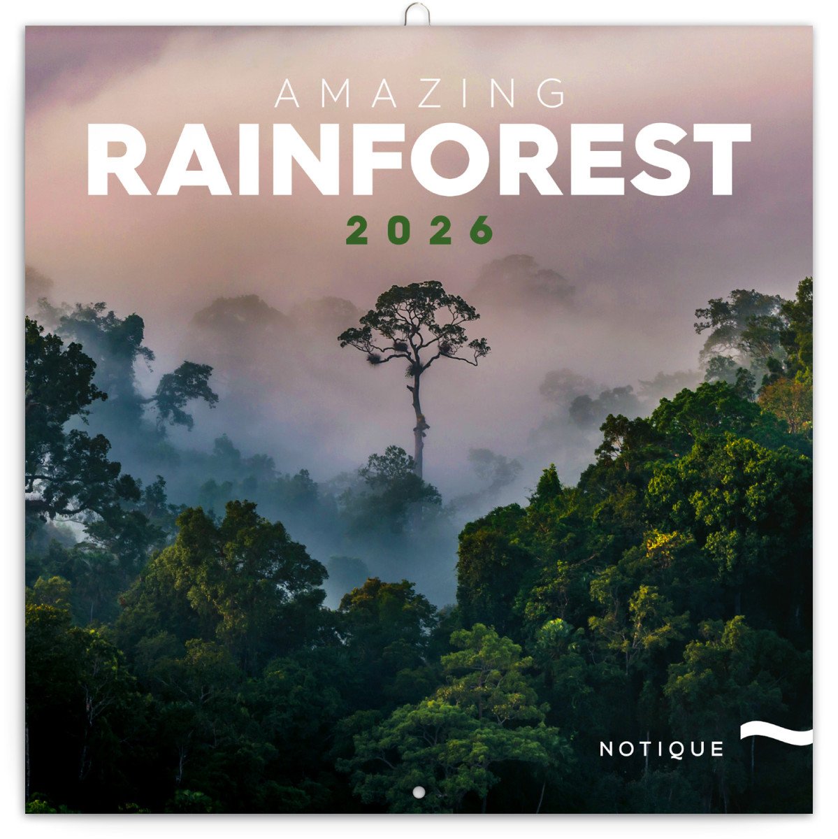 Kalendář 2026 poznámkový Deštné pralesy 30 x 30 cm