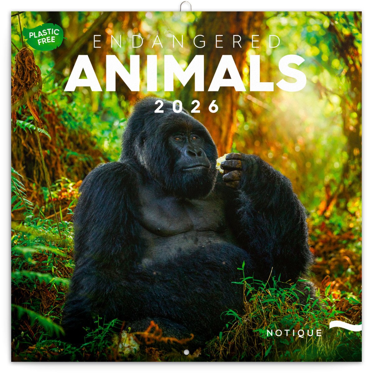 Kalendář 2026 poznámkový Ohrožené druhy 30 x 30 cm