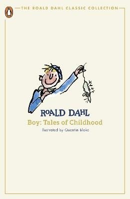 Boy – Dahl Roald
