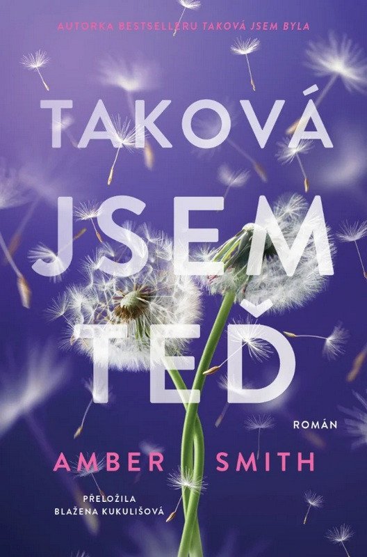 Taková jsem teď – Smith Amber