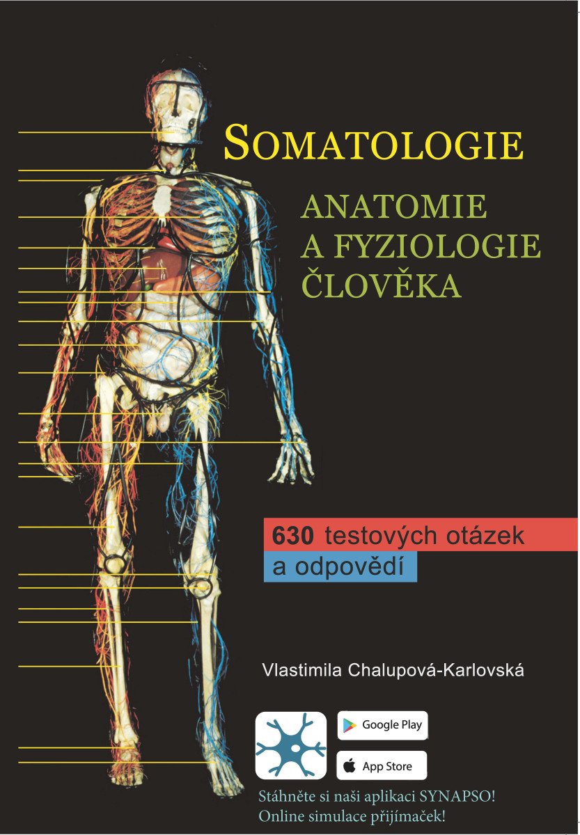 Somatologie - Anatomie a fyziologie člověka – Chalupová Stanislava