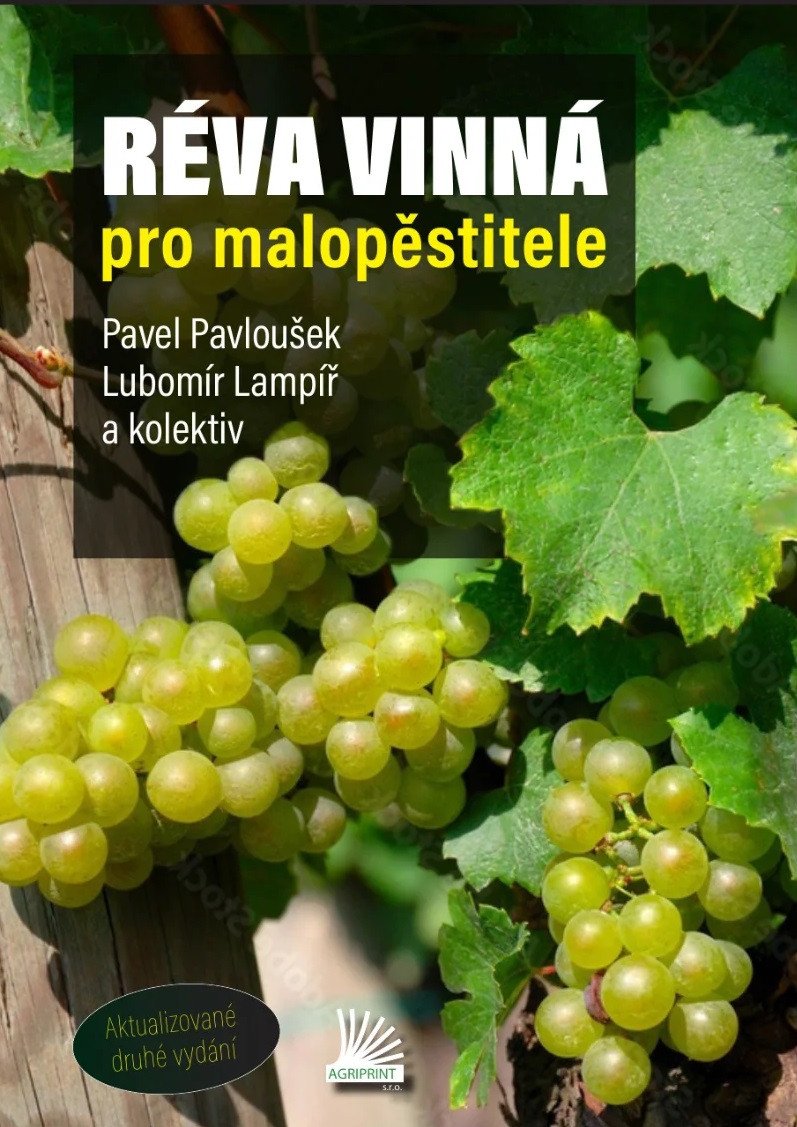 Réva vinná pro malopěstitele – Pavloušek Pavel