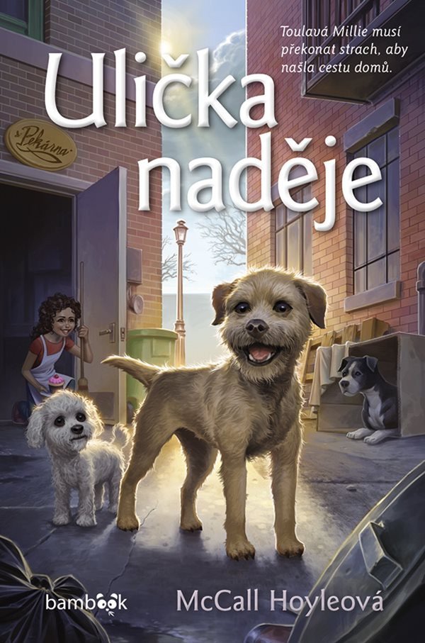 Ulička naděje – Hoyleová McCall