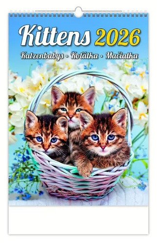 Kalendář nástěnný 2026 - KittensKatzenbabysKoťátkaMačičky