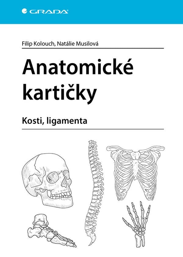 Anatomické kartičky – Kolouch Filip
