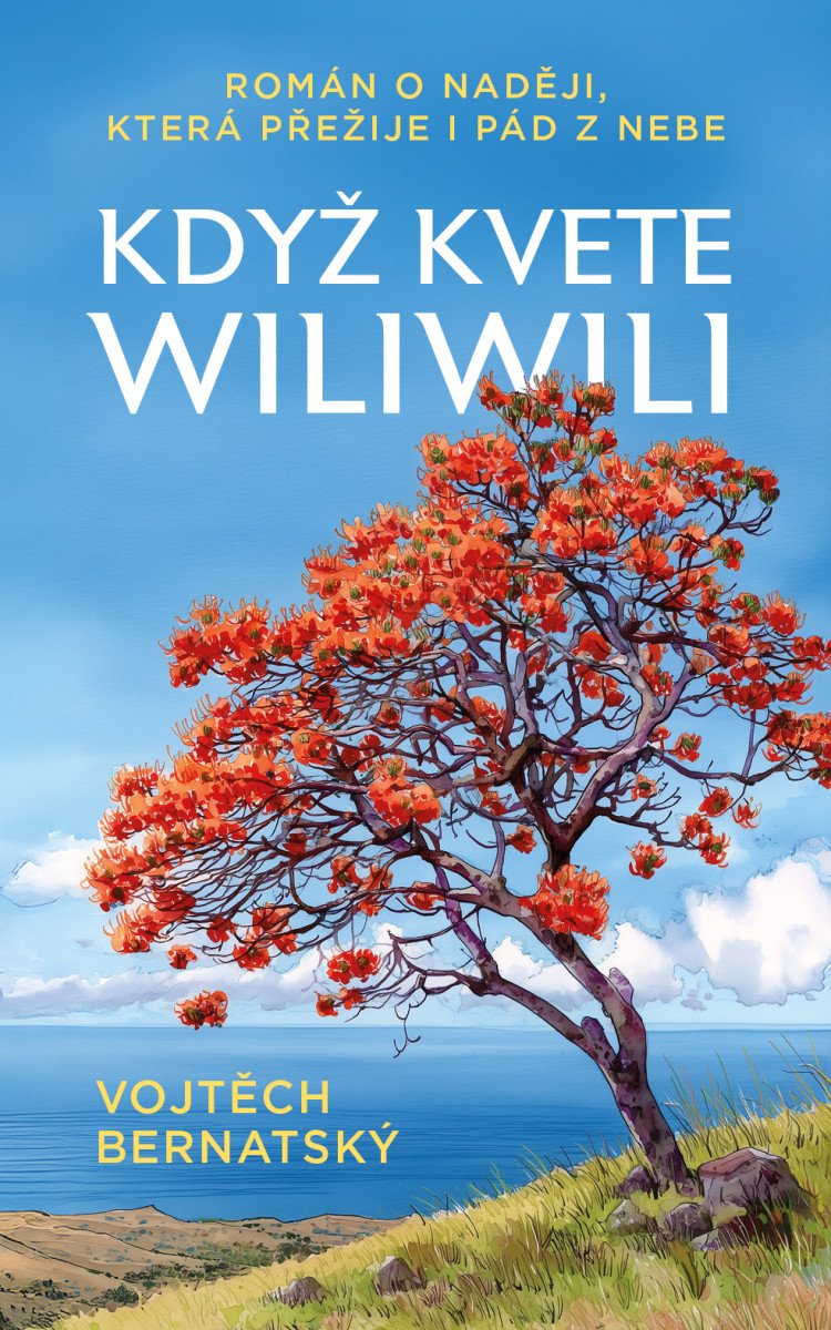 Když kvete wiliwili - Román o naději která přežije i pád z nebe – Bernatský Vojtěch